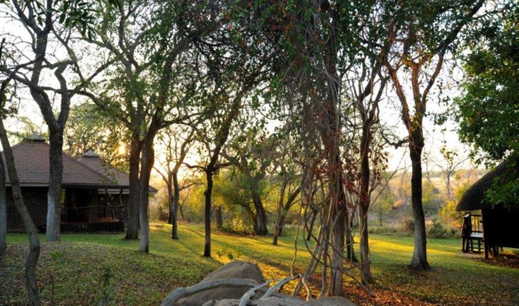Idube Game Reserve Sabi Sand Game Reserve Exterior photo