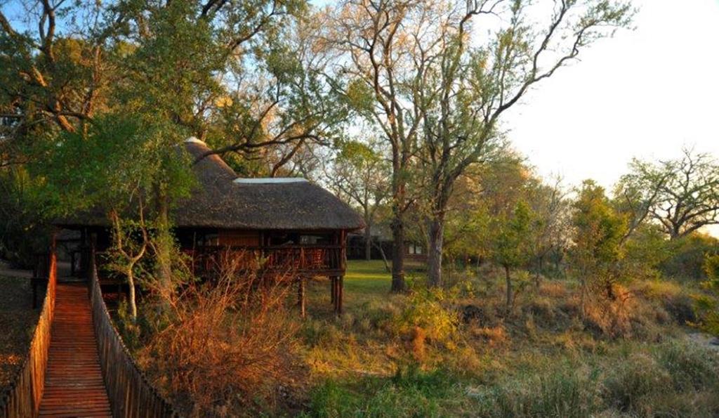Idube Game Reserve Sabi Sand Game Reserve Room photo